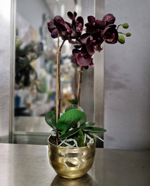 Dirbtinė orchidėja "Aubergine Phalaenopsis"